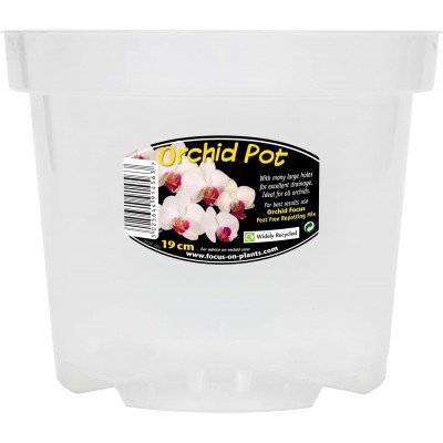 Clear Orchid Pot  19cm